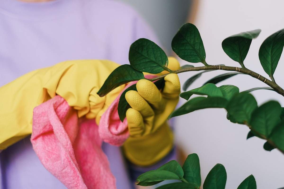 Finding the Best Deep Cleaning Company in Chandigarh: What Actual
