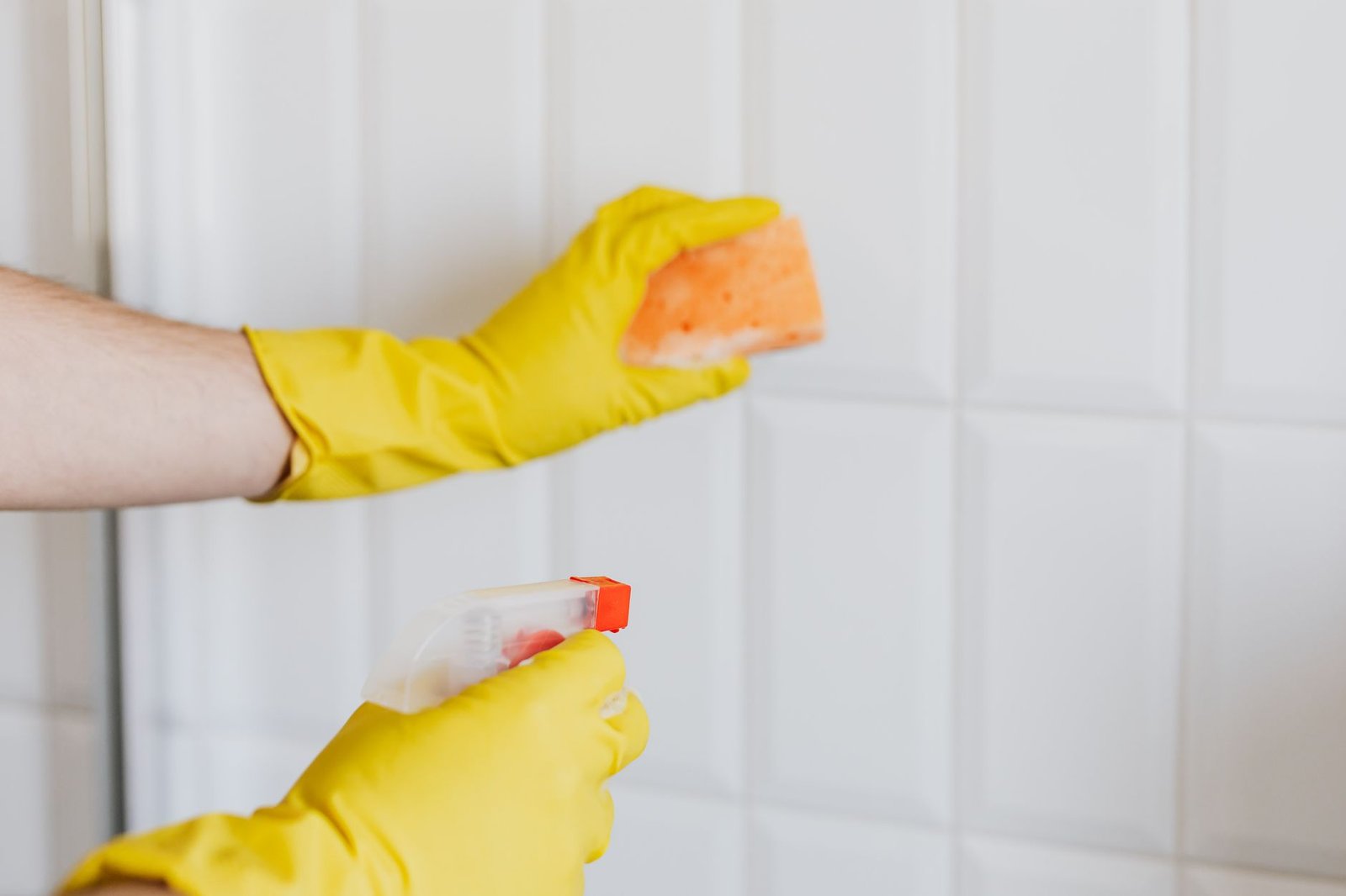 Cost of Professional Deep Cleaning in India 2025: Local Insights for Jodhpur, Chandigarh, Jaipur & Tricity
