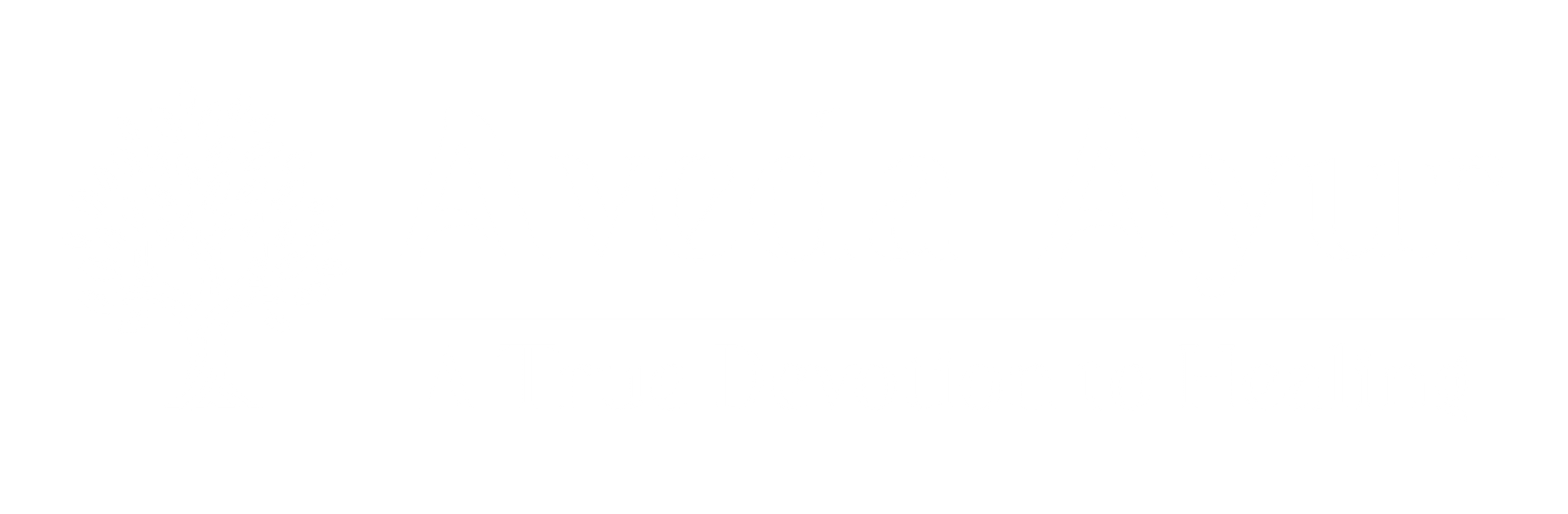 Aveda Ayur